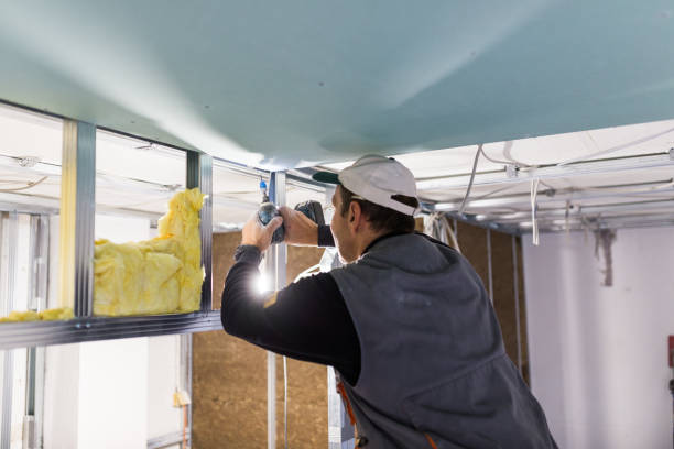 Best Commercial Insulation Services  in Harmony Grove, CA