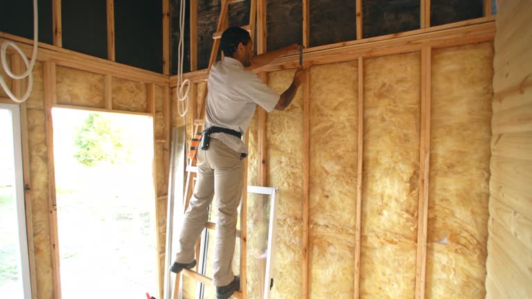 Best Crawl Space Insulation  in Harmony Grove, CA